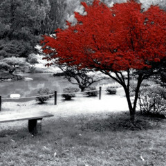 Maxwell Rocha - Moments  ( Preview )