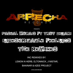 Pascal Morais ft Troy Denari - Indescribable Feelings (The Remixes)