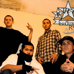 Cerdos-LaIndustriaReal