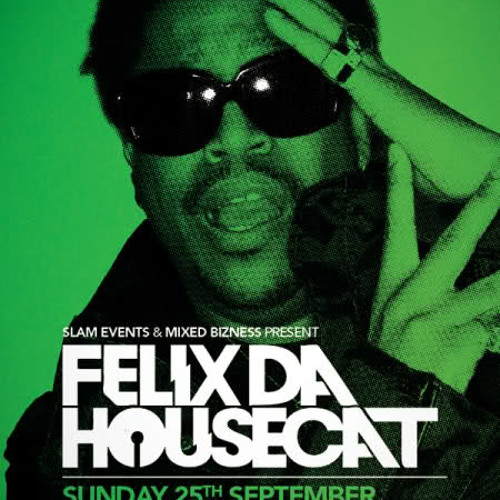 FELIX da Housecat レコード Stream Felix Da Housecat - Slam tent at T In The Park 2011 by Soma