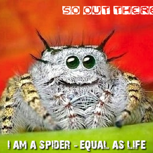 I am a Spider - I am LIFE (please don't squish me!)