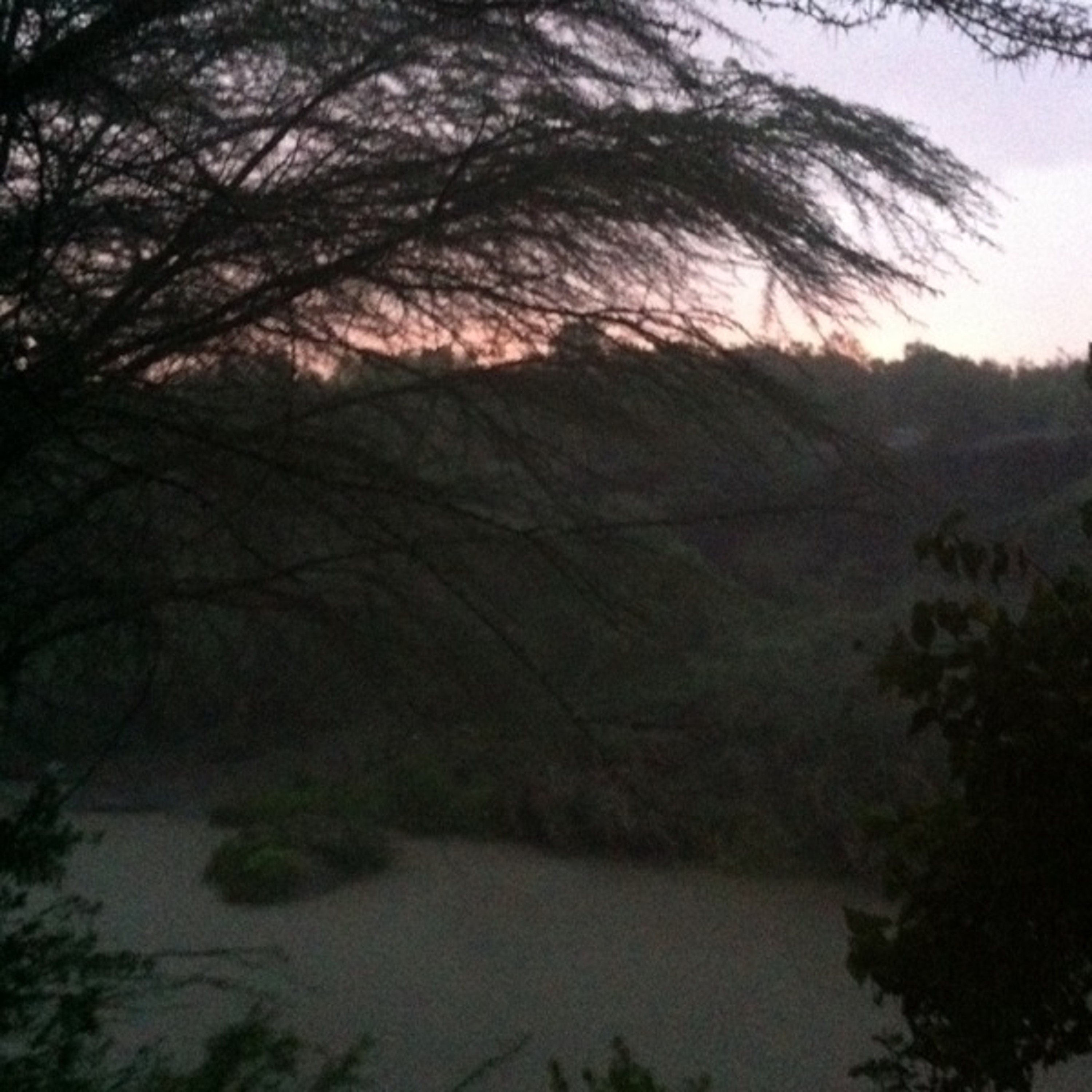 Rain outside the tent  at Masai Mara National Park episode artwork