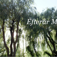 Efterår Mix 2010
