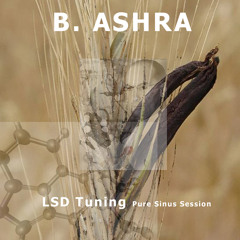 KWDIGI001 B Ashra - LSD Tuning (Pure Sinus Session)