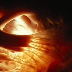 cecil bhaiya's songs