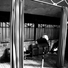 Theme 1:  The Magnetic, Meticulous Mavericks