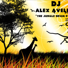 "The Jungle Drum Party" CD# 2  Tribal/House Promotional Only