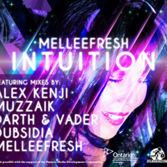 Melleefresh - Intuition (Dubsidia Rmx) DEMO Play Records