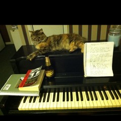 Angry piano at Chester River Beach • Development