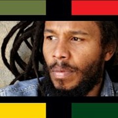 Ziggy Marley -- Don t You Kill Love (Live)