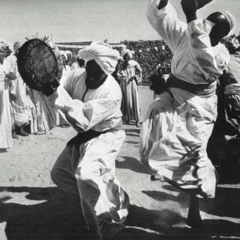 ولّى .. سايه وانيجّااه