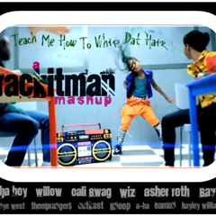 Teach Me How To Whip Dat Hair (Soulja Boy, Savage, & Cali Swag vs. Asher Roth, Wiz, Eamon & Willow)
