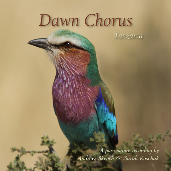 Andrew introduces ‘Dawn Chorus: Tanzania’