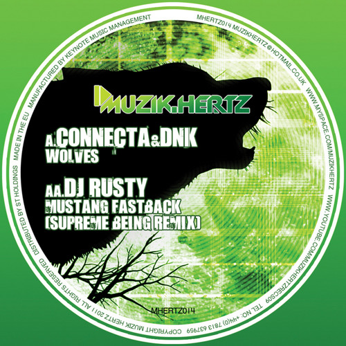 Connecta & Dnk - Wolves