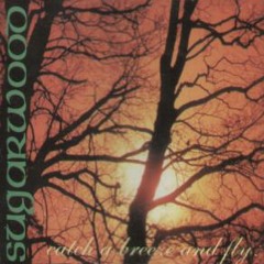 Finchale Road (Sugarwood)