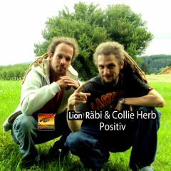 Lion Räbi & Collie Herb - Positiv