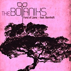 The Botaniks - Fond of Jane feat. Bernhoft ( A Great Paulukka Remix )