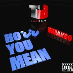 SNEAKBO - How You Mean (download)