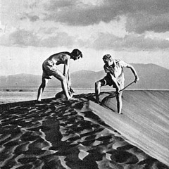 Shifting Sands