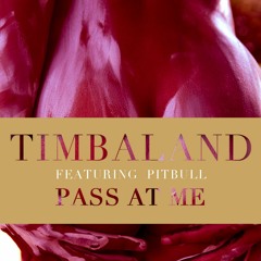 Timbaland - "Pass At Me" feat. Pitbull