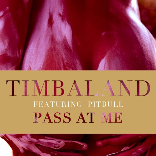 Timbaland - "Pass At Me" feat. Pitbull