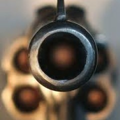 Staring Down the Barrel of Reason