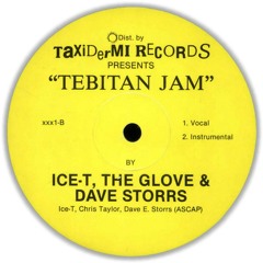 Chris The Glove Taylor & David Storrs - Tibetan Jam (Special Dub Version)