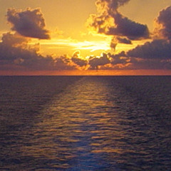 Some Skunk Funk by The Brecker Brothers