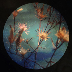 Rhian Sheehan - Campana