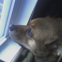 Villain - Parks And What You Meant To Me (Back In The Day Cover)