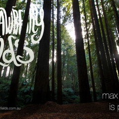 MaxvEgas @ Strawberry Fields Fest 2010 live DJ Set Vinyl Only