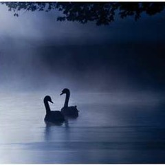 Moonlight