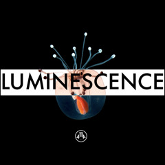 The Truth - Luminescence