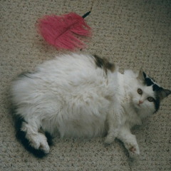 This is Supposed to be Fun