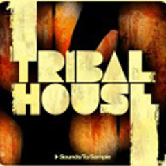Light Tribal House Bass Dj nexy 2011 sampler loop [free downlaod]