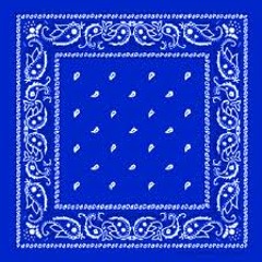 01 Blue Bandana