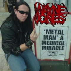 Shittybeatles (Wayne Jones)- I wanna Hold Your Hand (hyperstyle)