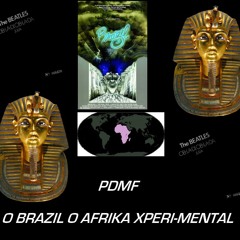 O BRAZIL O AFRIKA XPERI-MENTAL