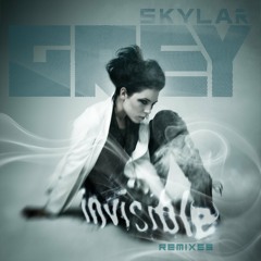 Skylar Grey - "Invisible" The Remixes