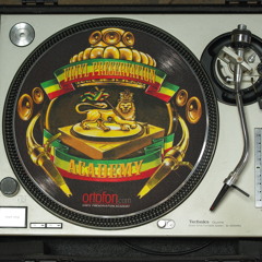 reggae MINI mixup