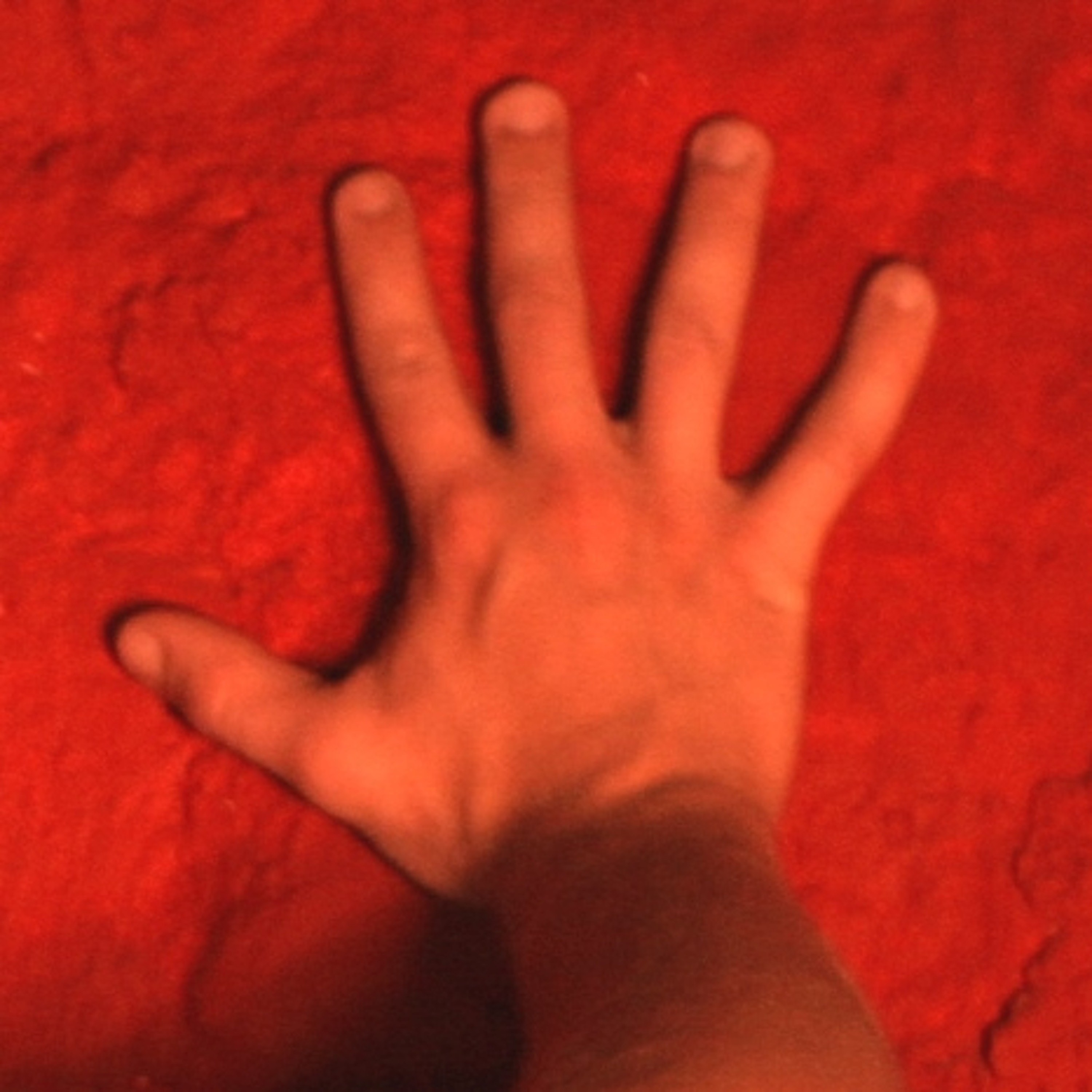 viperflo