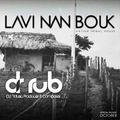 Dr Rub - Lavi nan bouk preview (Tribal house rework)