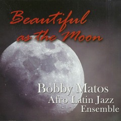 Bobby Matos - Beautiful as the Moon