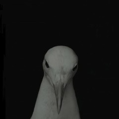 ANCIENT METHODS - CONFUSED VOLTAGE [TEN001EP A1]