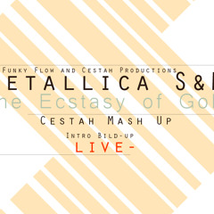 Metallica S&M live - The Ecstasy of Gold  ( Cestah Mash Up Edit )