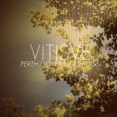 Bon Iver - Perth (Vitisve Remix)