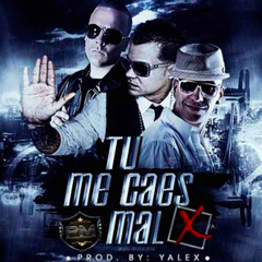Javy The Flow Ft JQ & Yomo - Tu Me Caes Mal (Original) (FullPauta)