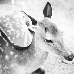 green grass over rationality