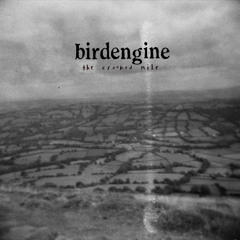 Birdengine - Phantom limb