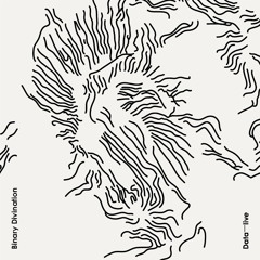 Binary Divination -  album (online version) / Starcastic Records (2011)